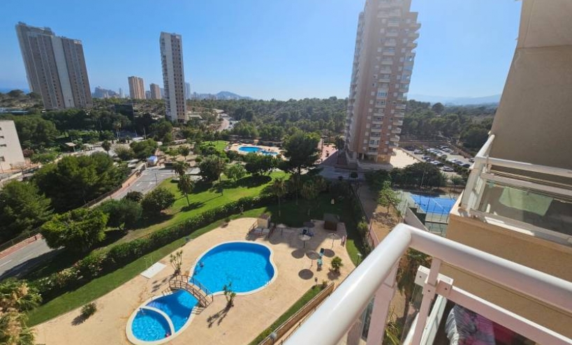 Apartment -  - Benidorm - Benidorm