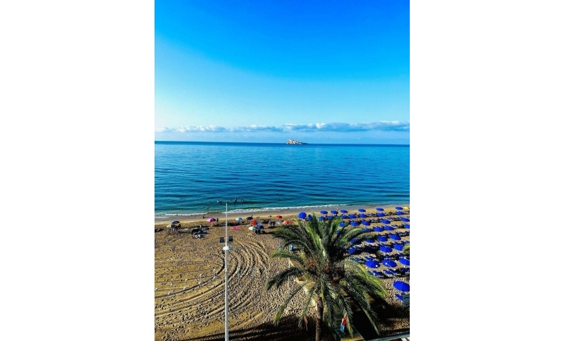 Apartment -  - Benidorm - Levante