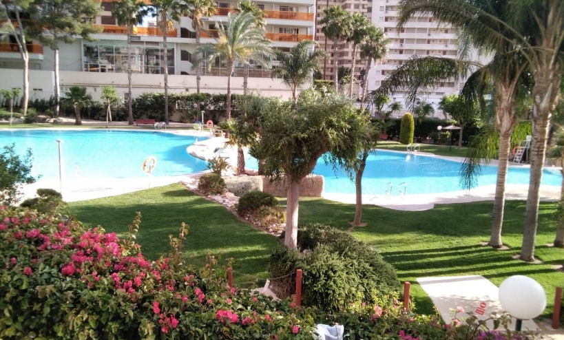 Apartment -  - Benidorm - Rincón de Loix