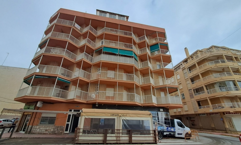 Apartment -  - La Mata - La Mata