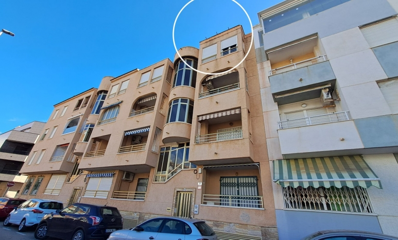 Apartment -  - La Mata - La Mata