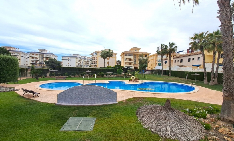 Apartment -  - La Mata - La Mata