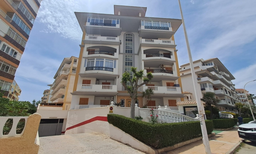 Apartment -  - La Mata - La Mata