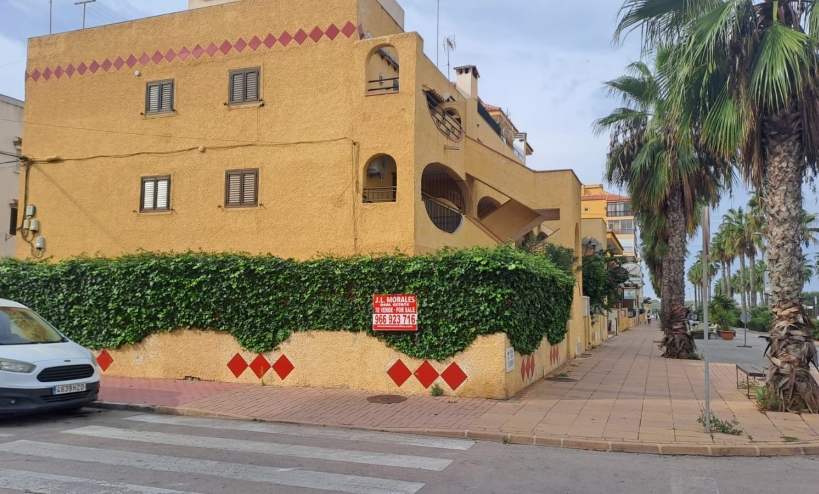 Apartment -  - La Mata - La Mata