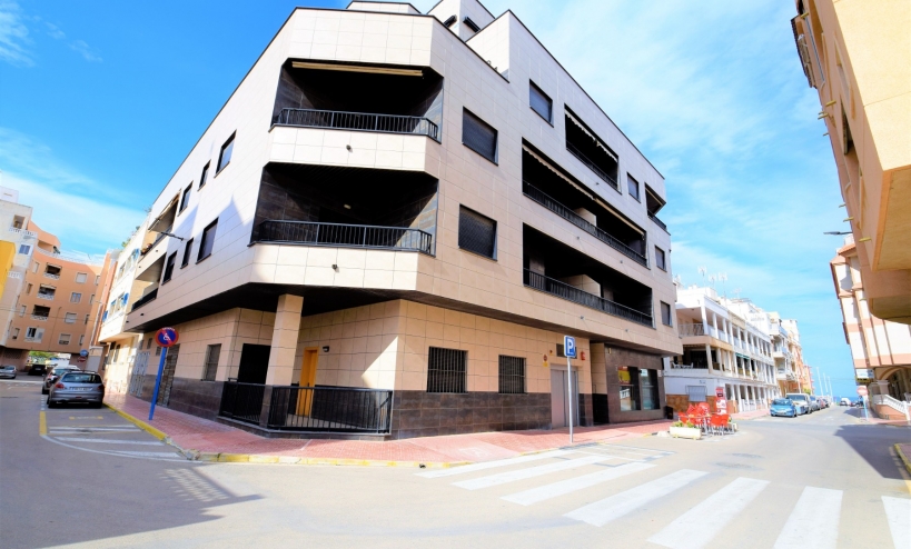 Apartment -  - La Mata - La Mata