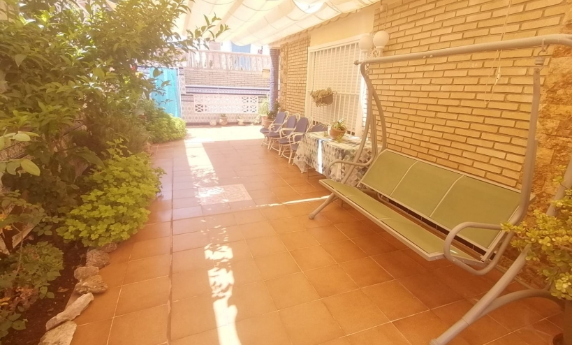 Apartment -  - La Mata - La Mata