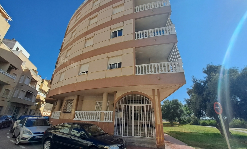 Apartment -  - La Mata - La Mata