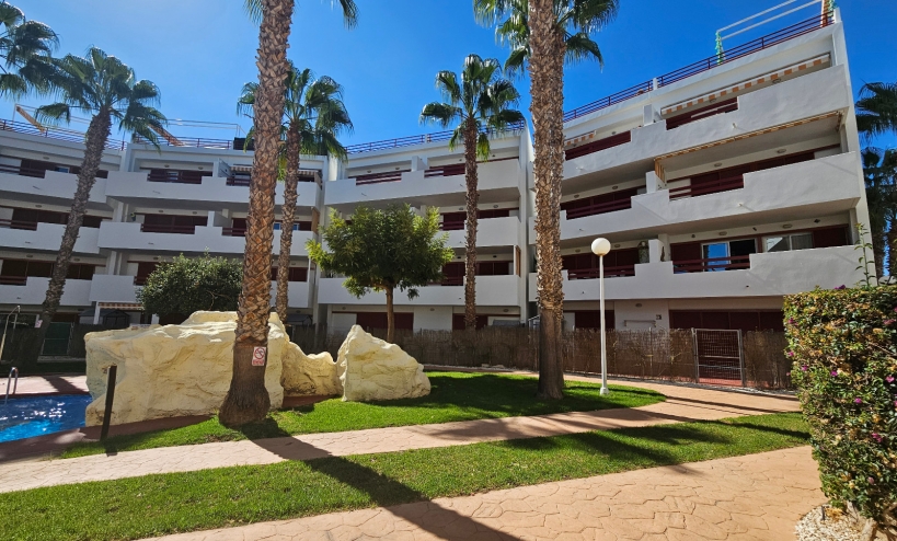 Apartment -  - Playa Flamenca - El Rincon