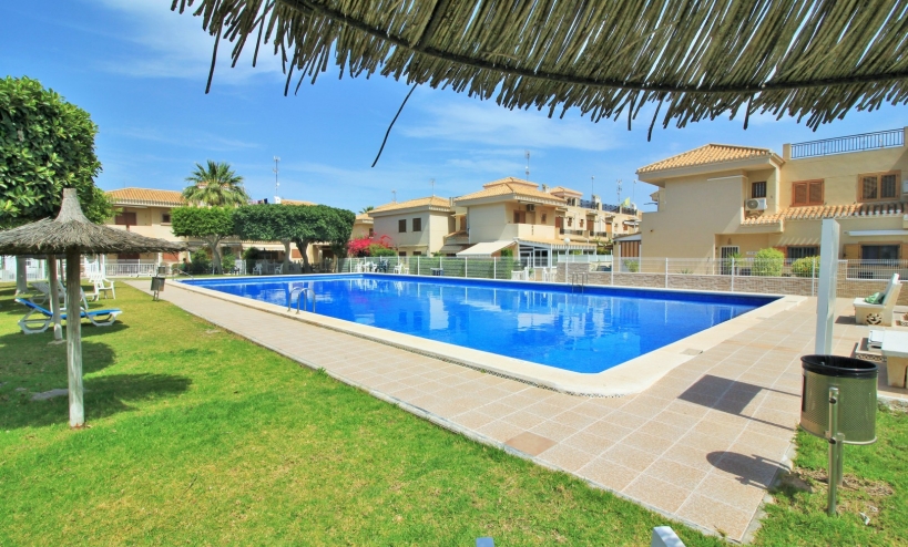 Apartment -  - Playa Flamenca - Playa Flamenca