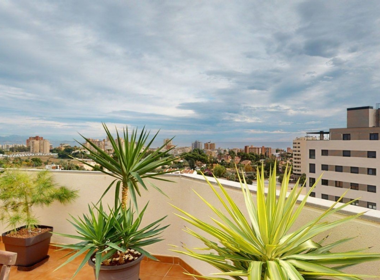  - Apartment - San Juan - San Juan de Alicante