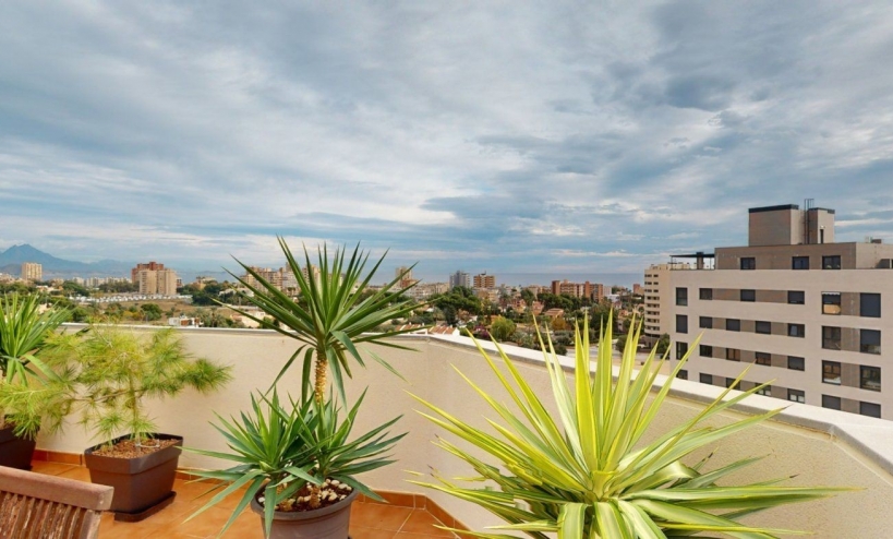 Apartment -  - San Juan - San Juan de Alicante