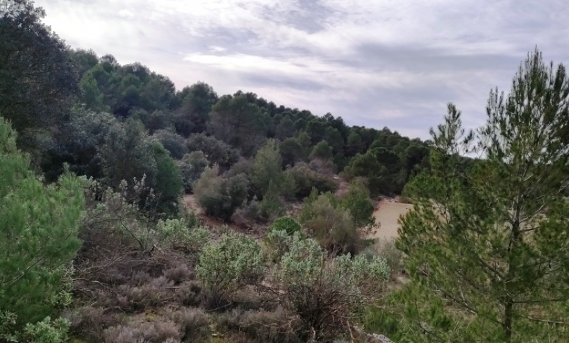  -  - Bocairent - Bocairent
