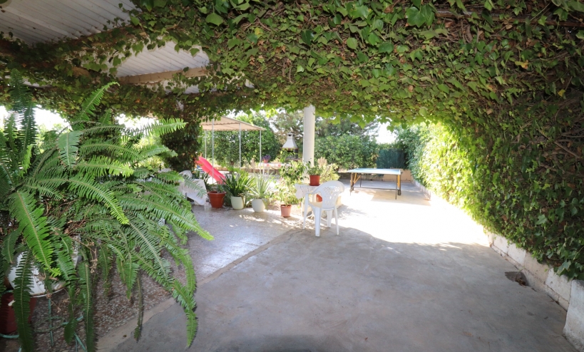 Country House -  - Albatera - Albatera