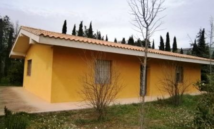 Country House -  - Alcocer de Planes - Alcocer de Planes