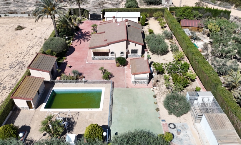 Country House -  - Elche - Elche