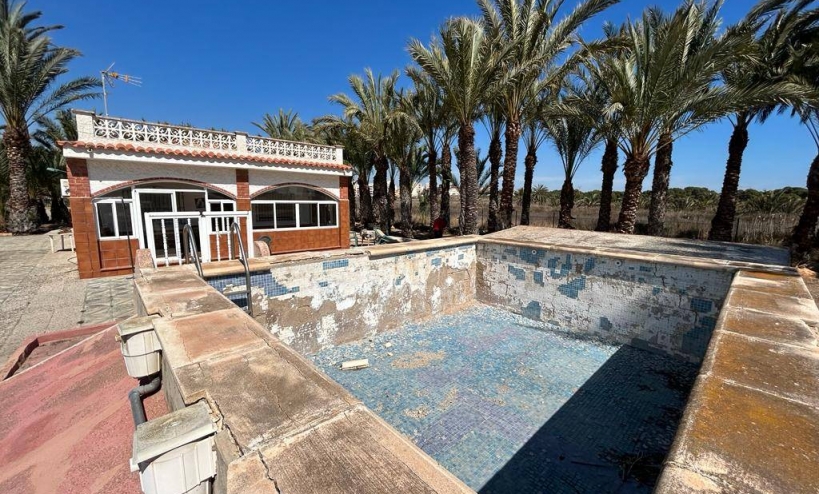 Country House -  - Elche - Elche