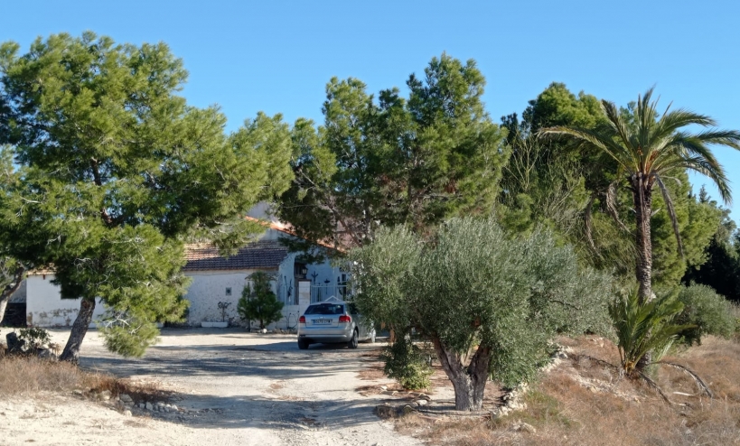 Country House -  - Elche - Saladas