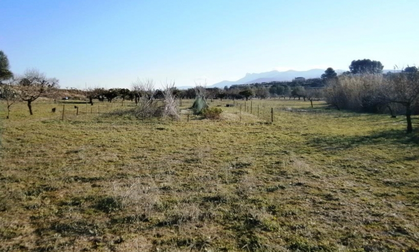 Land -  - Agullent - Agullent