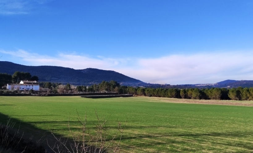 Land -  - Alfafara - Alfafara