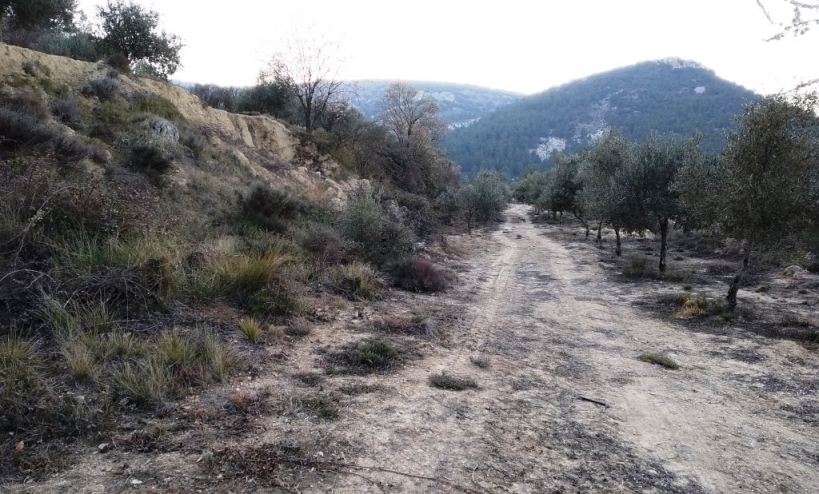 Land -  - Benifallim - Benifallim