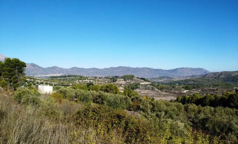 Land -  - Benillup - Benillup