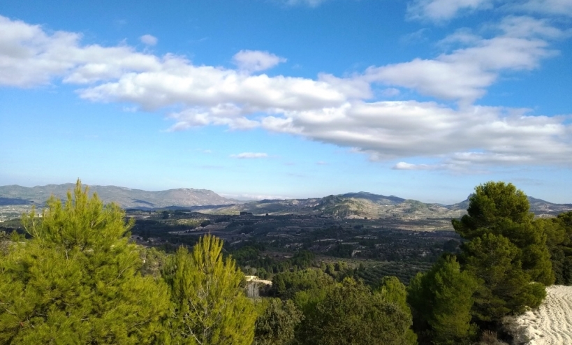 Land -  - Benillup - Benillup