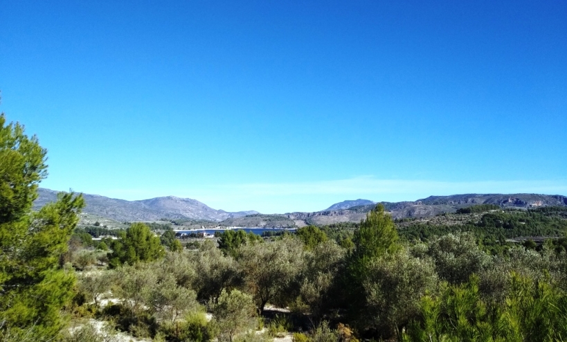 Land -  - Benimarfull - Benimarfull