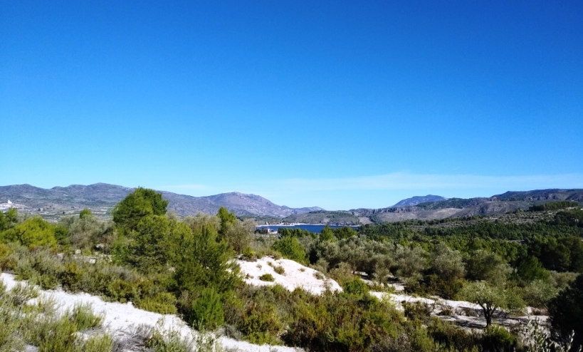 Land -  - Benimarfull - Benimarfull