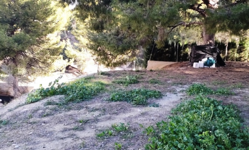 Land -  - Cocentaina - Cocentaina