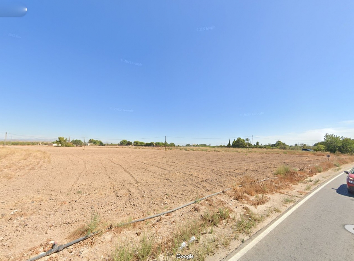  - Land - Elche - Perleta