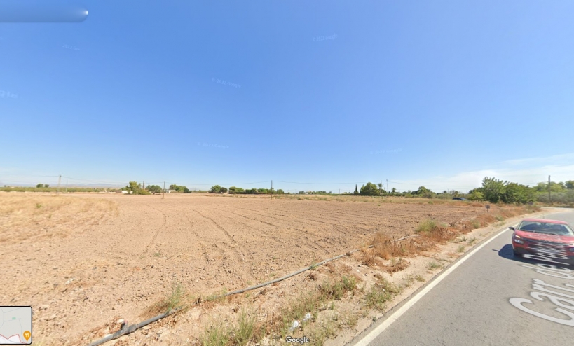 Land -  - Elche - Perleta