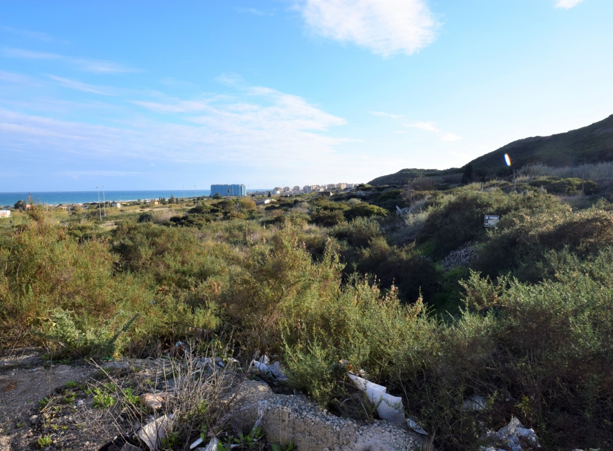  - Land - Guardamar del Segura - Los Secanos