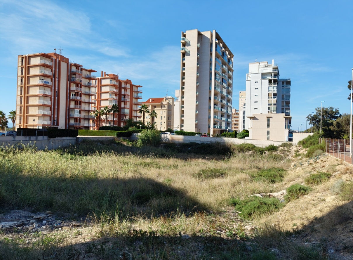  - Land - Guardamar del Segura