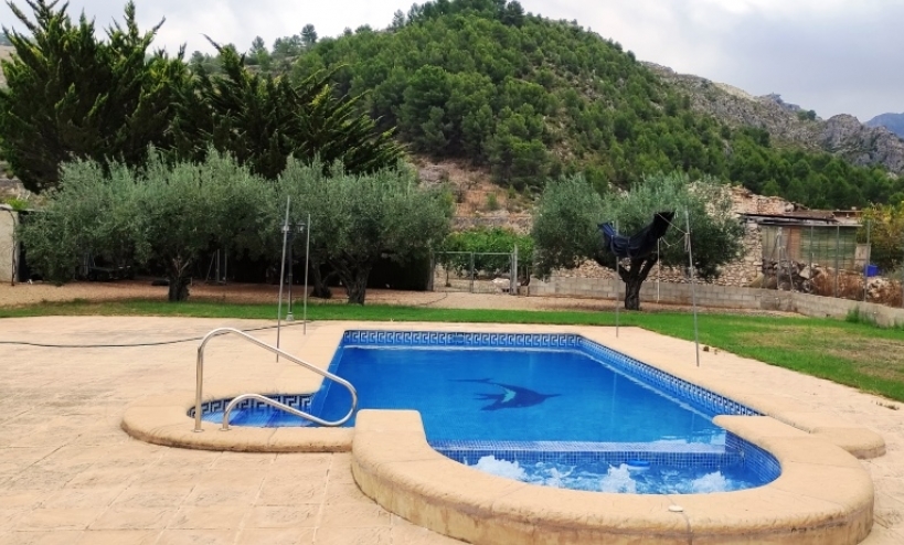 Land -  - Lorca - Lorca