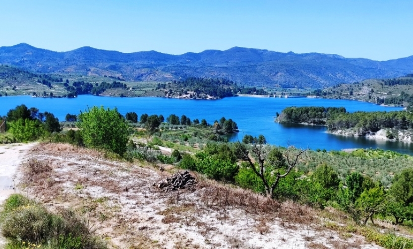 Land -  - Planes - Planes