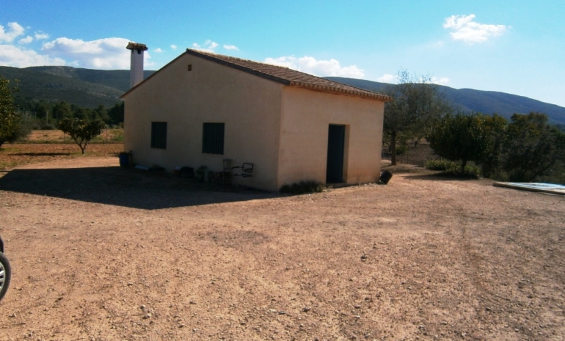  -  - Ontinyent - Ontinyent