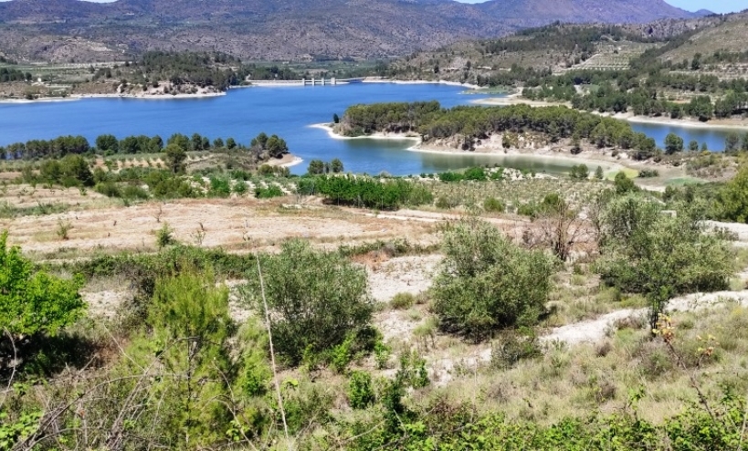  -  - Planes - Planes