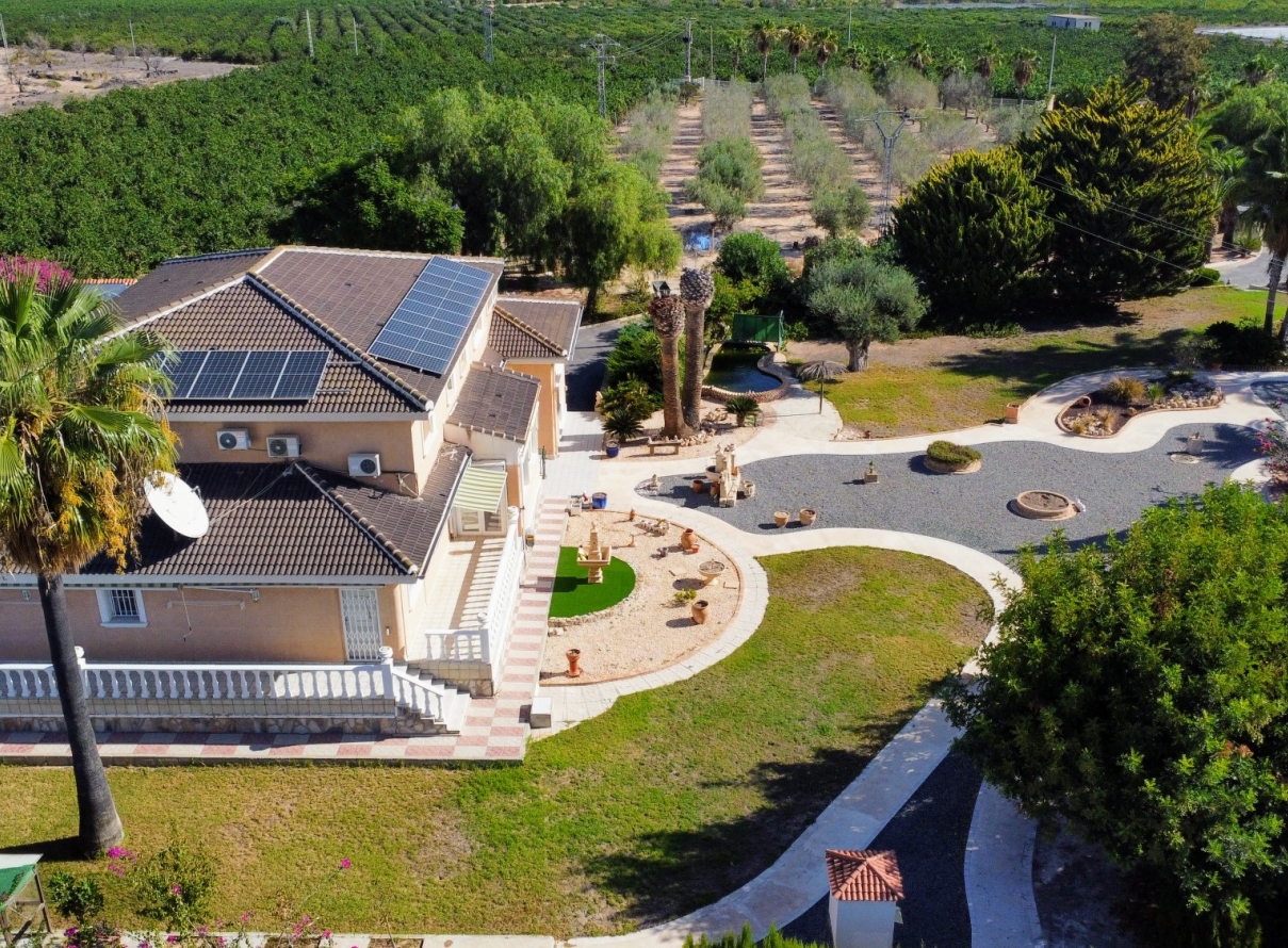  -  - San Miguel de Salinas