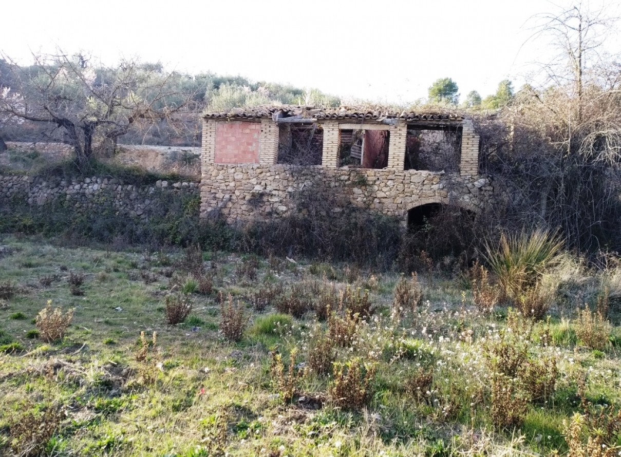  -  - Vall d'Alcalá - Vall D'Alcalá