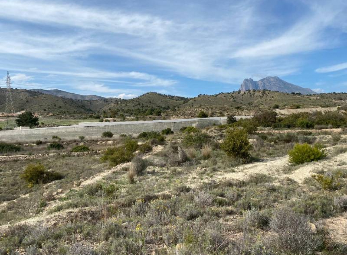  -  - Villajoyosa - Mediases