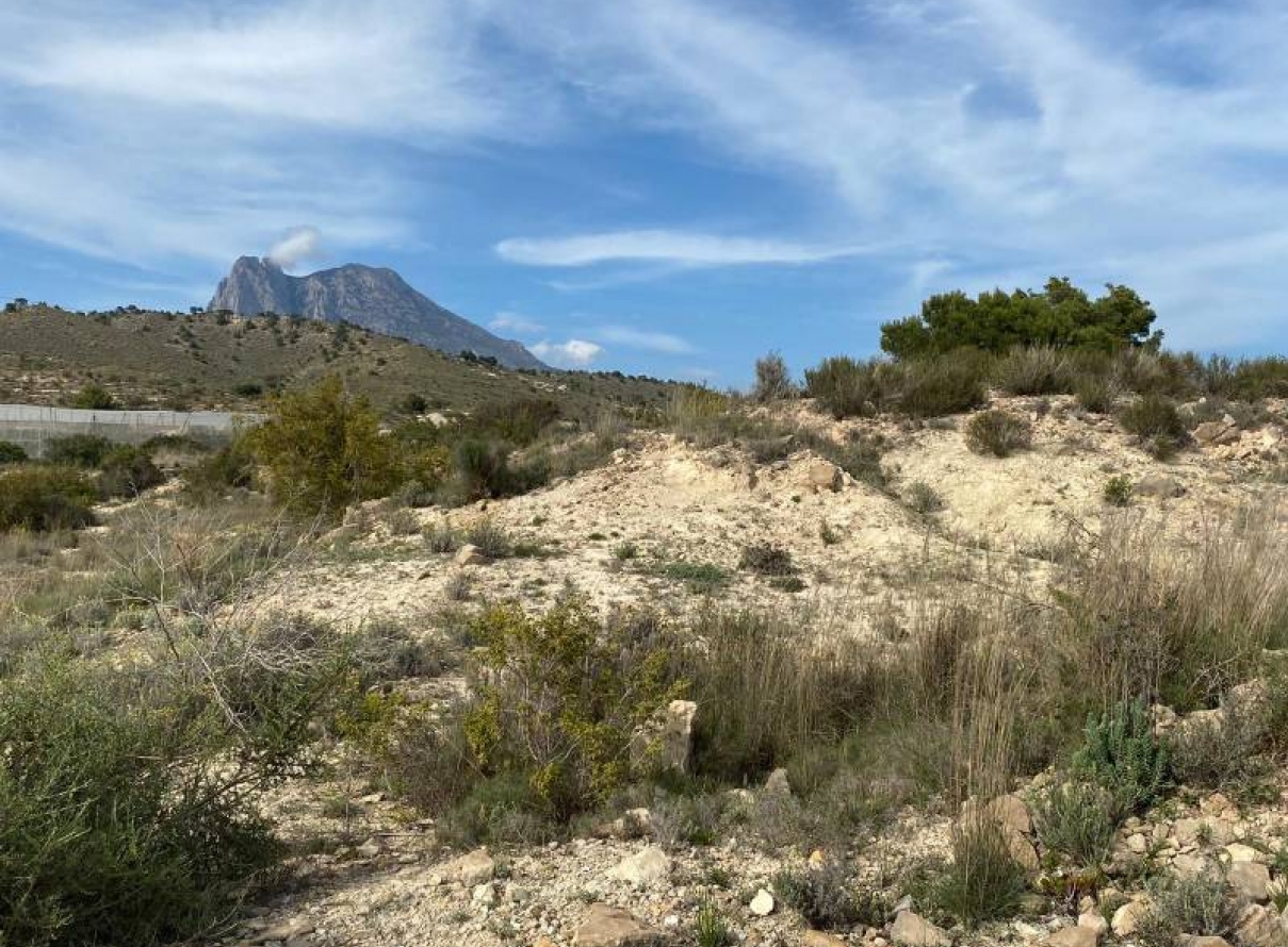  -  - Villajoyosa - Mediases