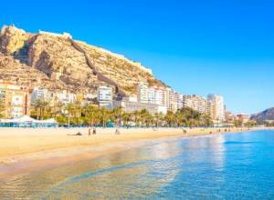 Alicante