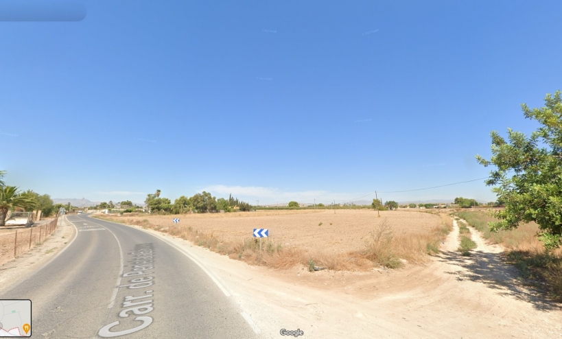  - Land - Elche - Perleta