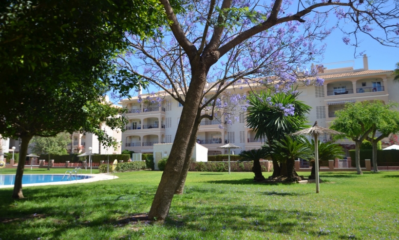  - Apartment - Orihuela Costa - Playa Flamenca