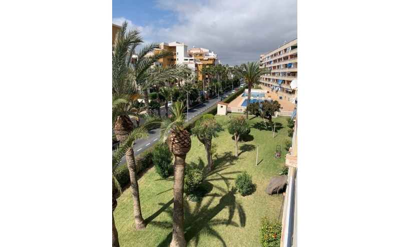  - Apartment - Orihuela Costa - Punta Prima