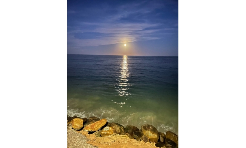  -  - Torre de la Horadada