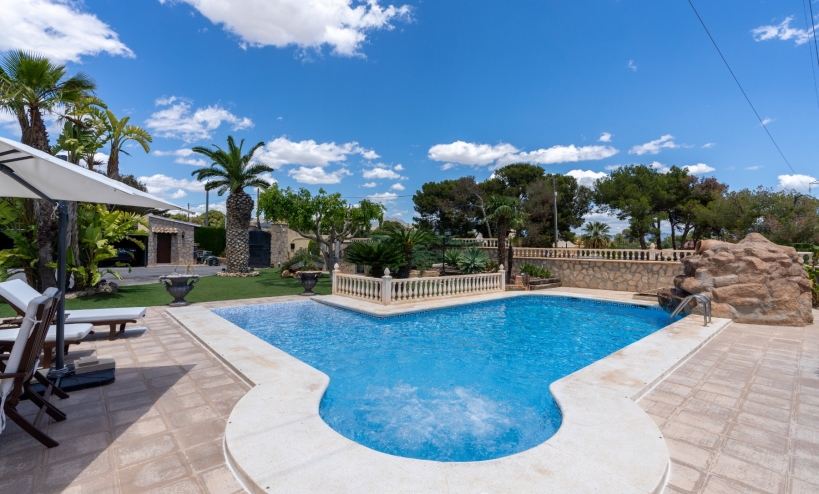  -  - San Vicente del Raspeig