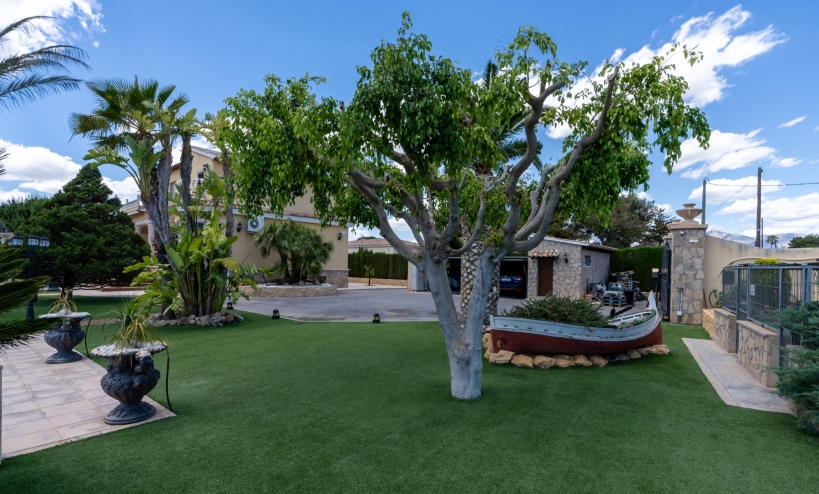  -  - San Vicente del Raspeig