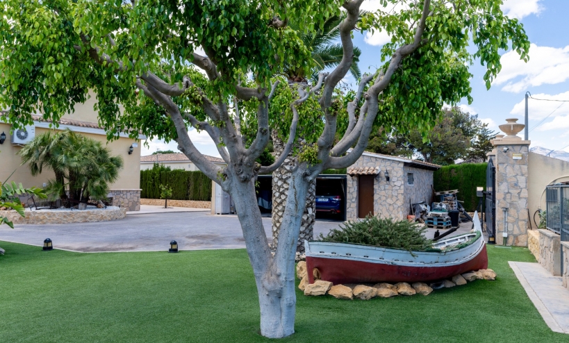  -  - San Vicente del Raspeig