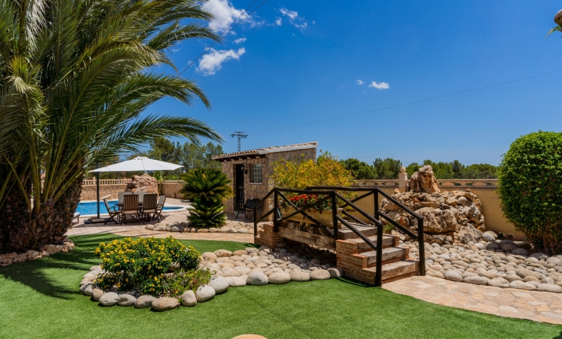  -  - San Vicente del Raspeig